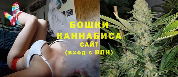 стафф Медногорск