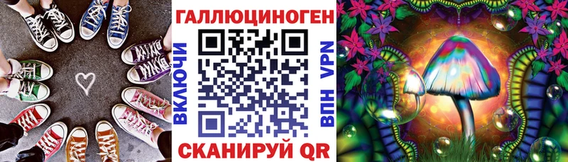 Галлюциногенные грибы Psilocybine cubensis  Нальчик 