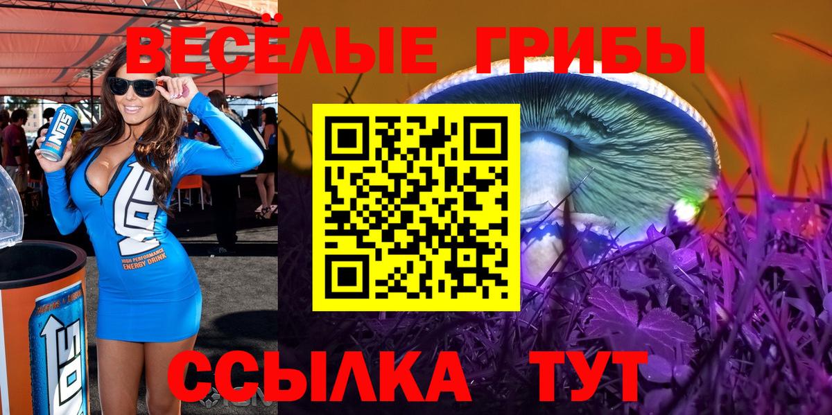 даркнет сайт  Галлюциногенные грибы Psilocybine cubensis  Вход с VPN  Галлюциногенные грибы ЛСД  Нальчик 