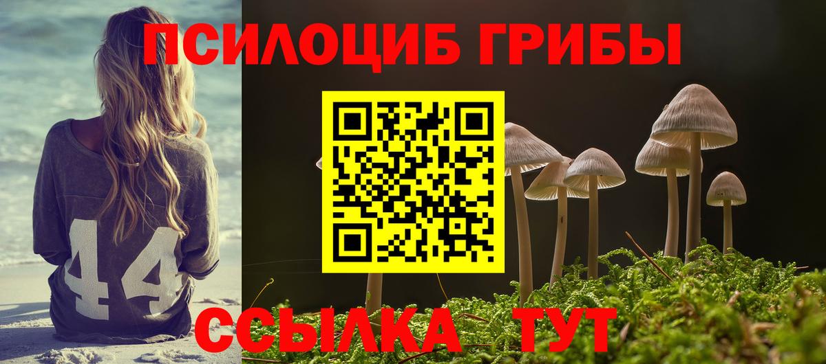 Псилоцибиновые грибы ЛСД Нальчик